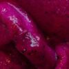 PITAYA BLEND 473 MINI